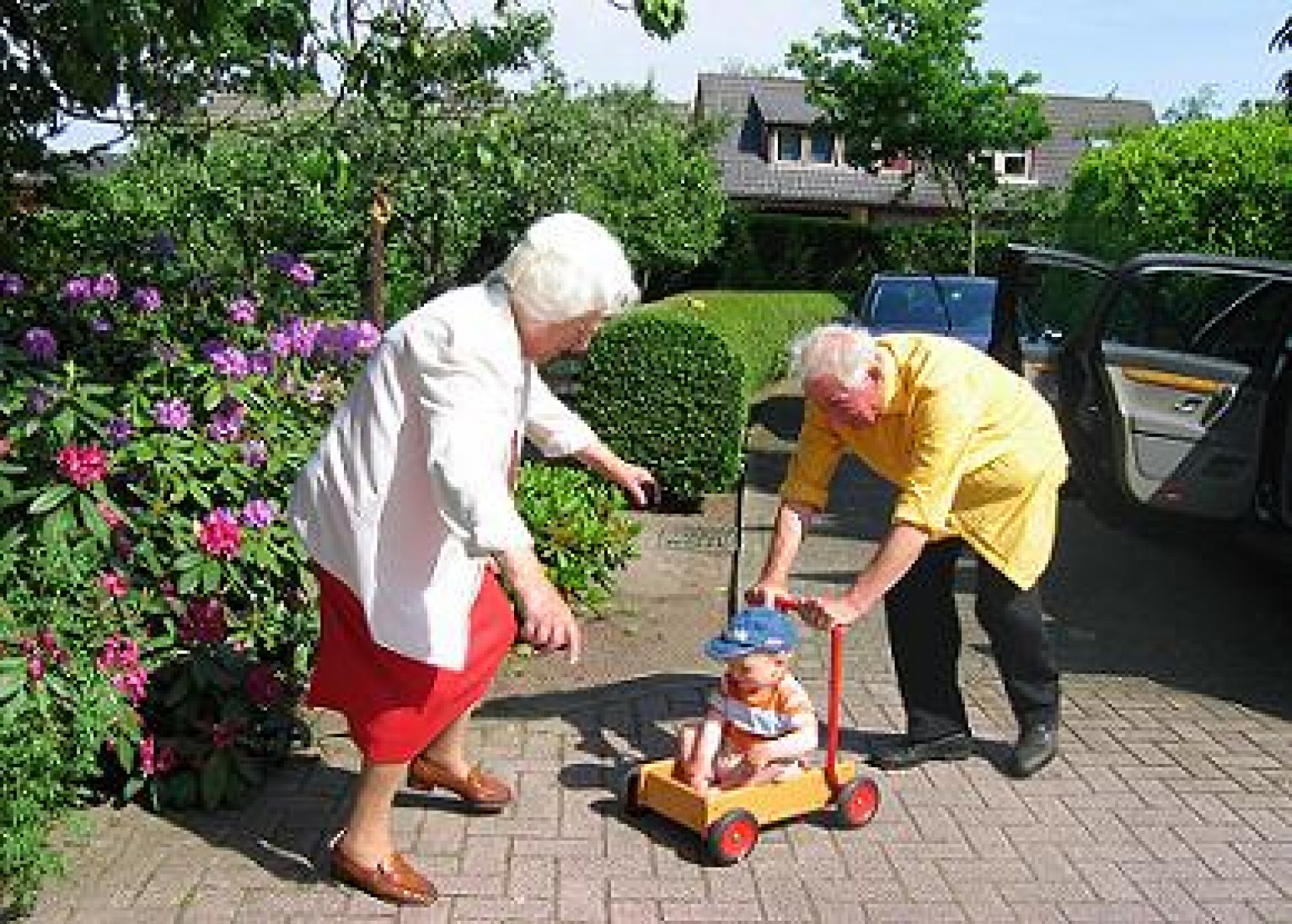 Motorische ondersteuning